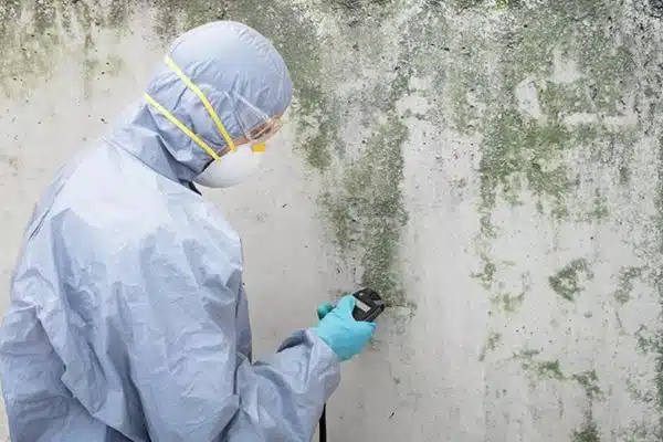 moldtest-1.jpg