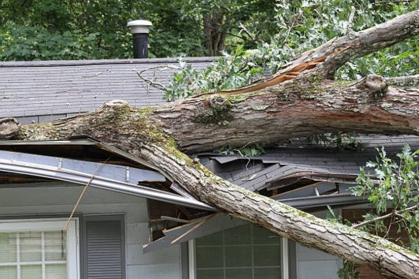 fayetteville ak storm damage cleaning