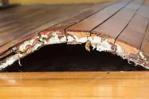 water-removal-3.jpg